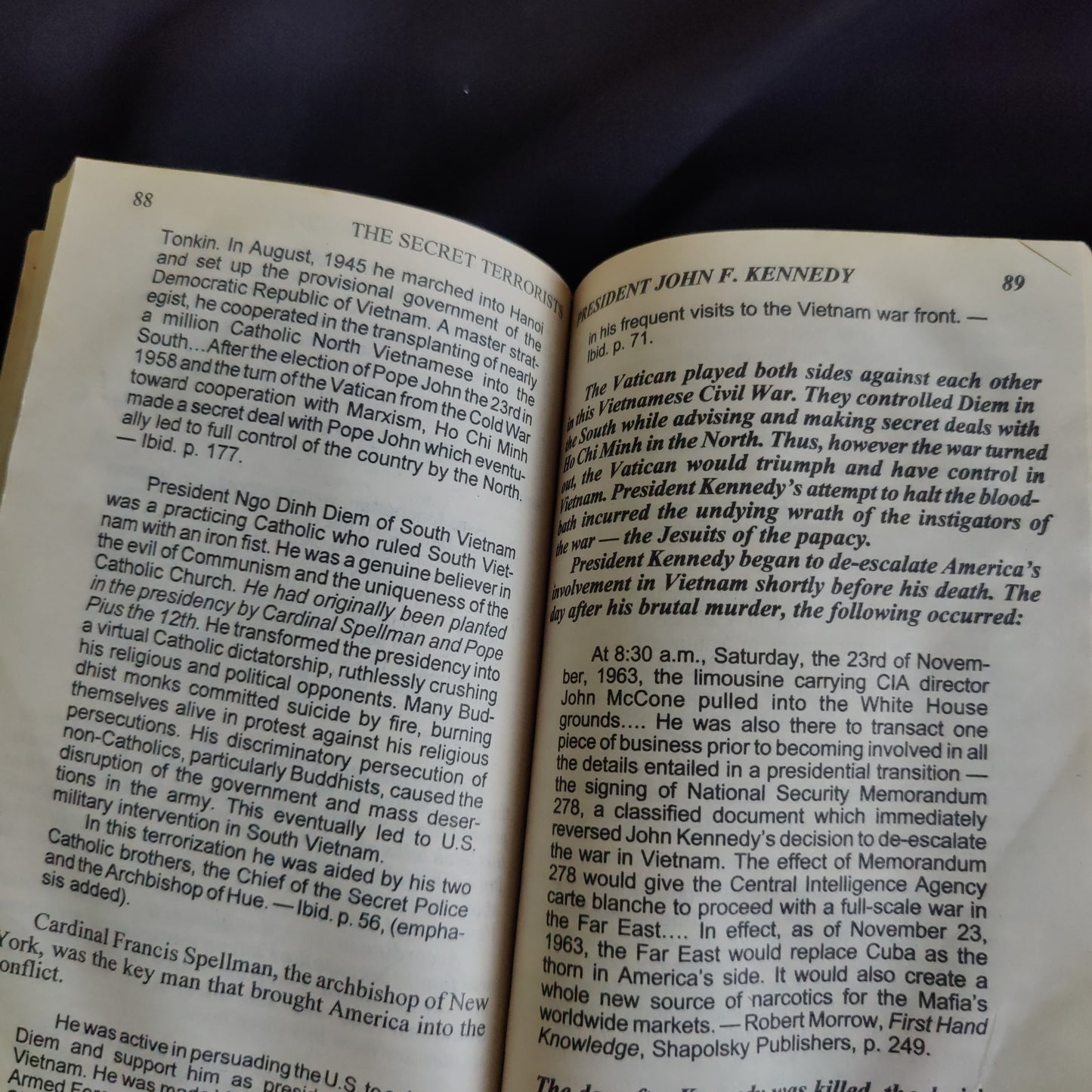 'The Secret Terrorists' by Bill Hughes