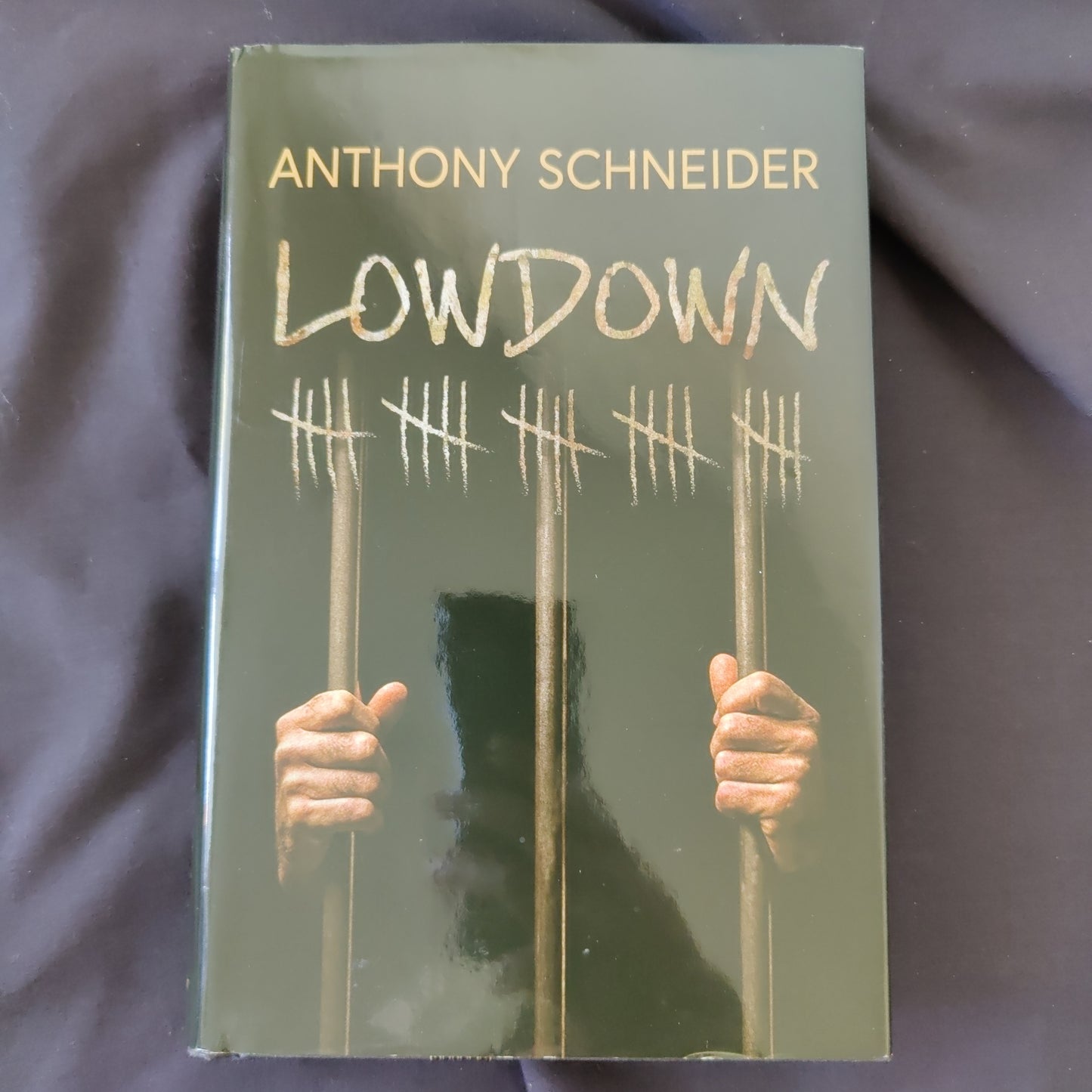 'Lowdown' by Anthony Schneid