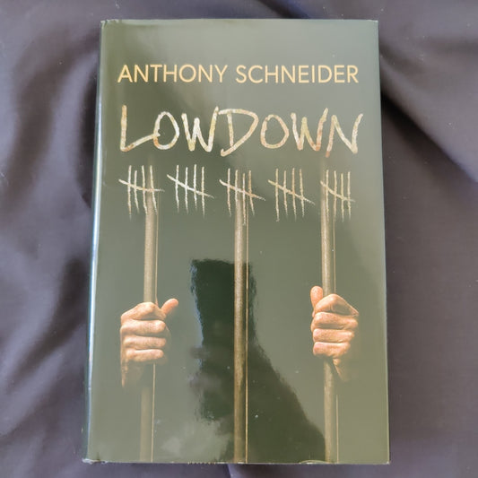 'Lowdown' by Anthony Schneid