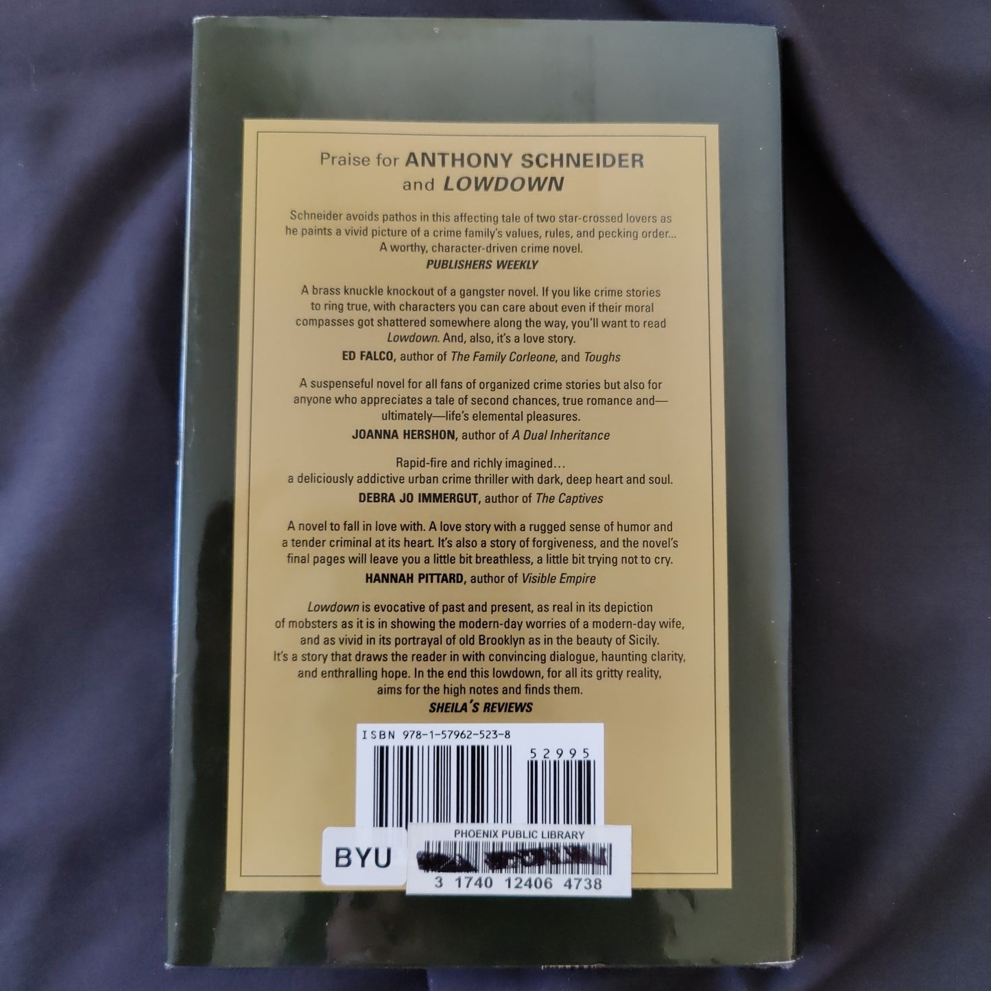 'Lowdown' by Anthony Schneid