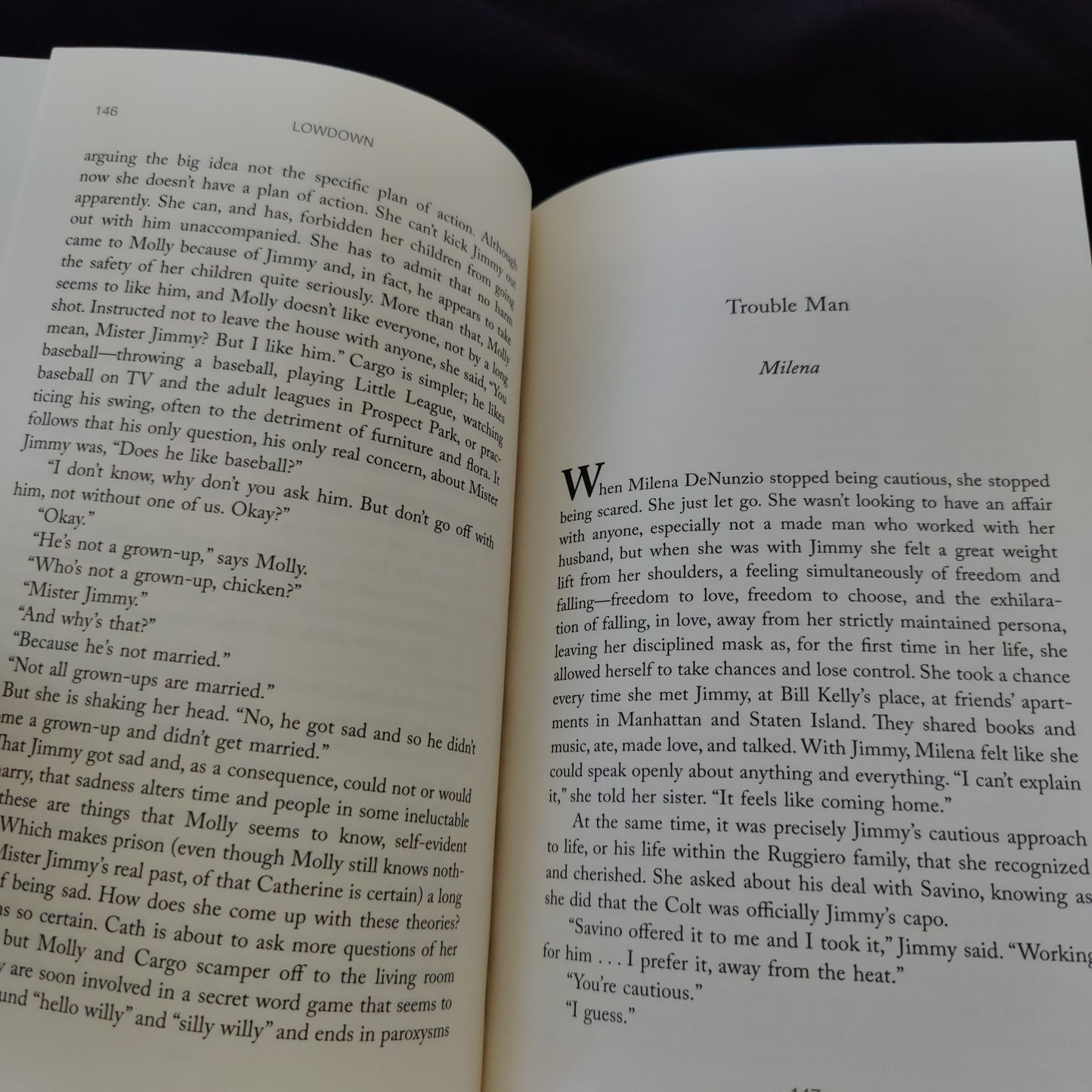 'Lowdown' by Anthony Schneid