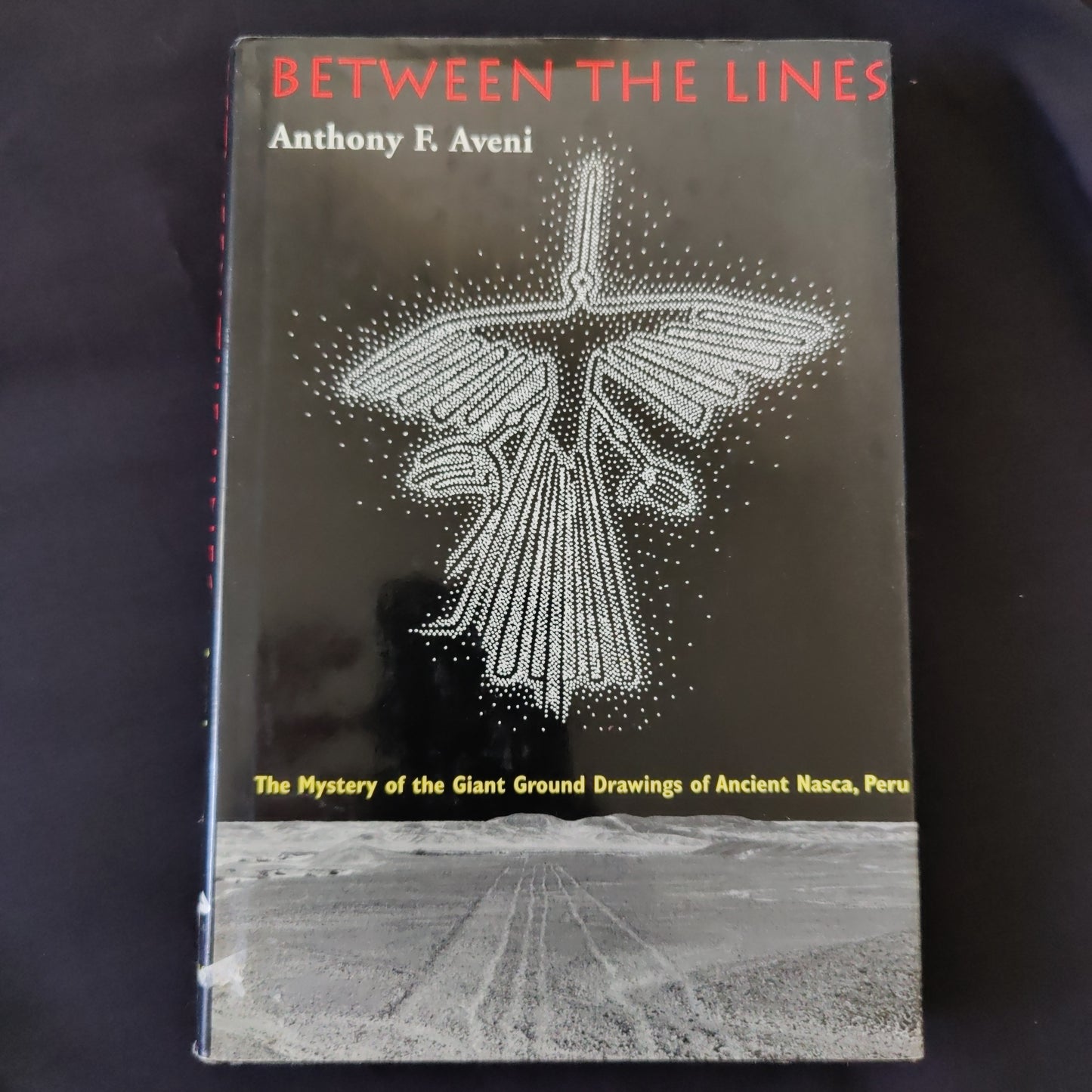 'Between the Lines The Mystery of the Giant Ground Drawings of Ancient Masca, Peru' by Anthony Aveni