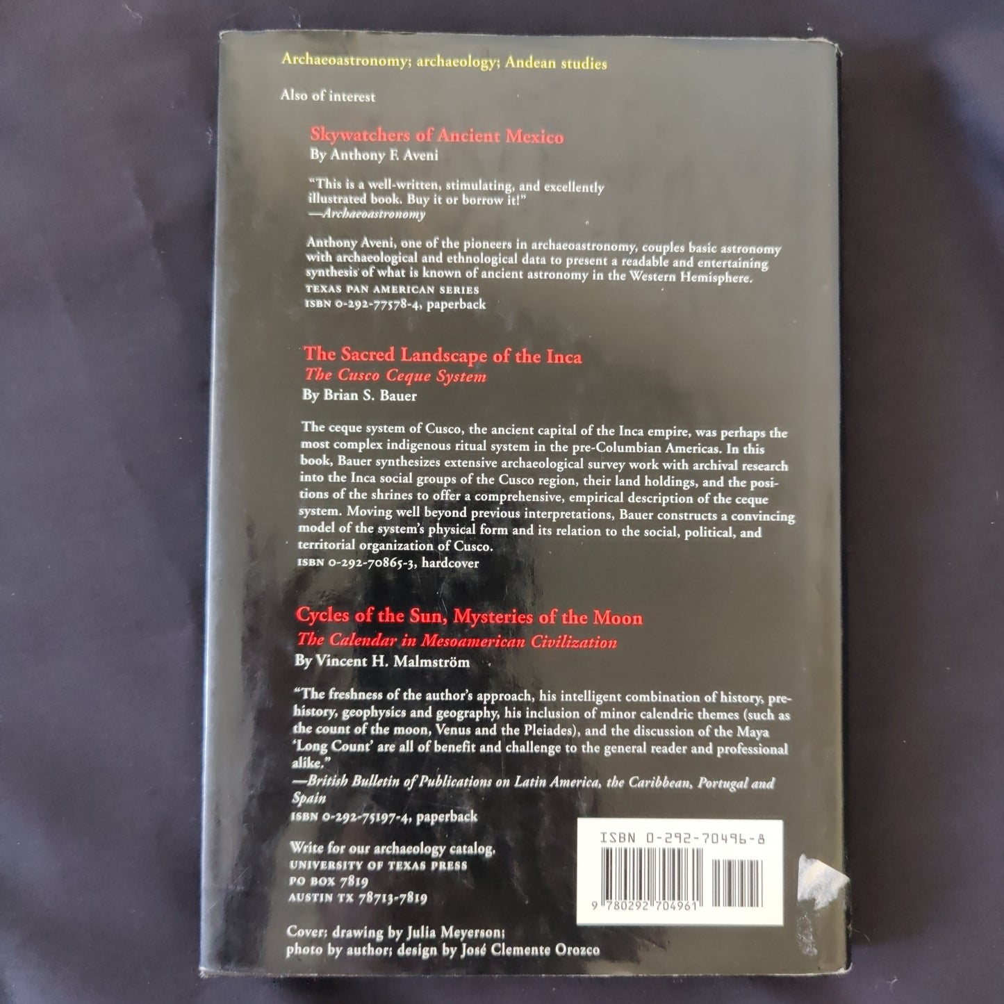 'Between the Lines The Mystery of the Giant Ground Drawings of Ancient Masca, Peru' by Anthony Aveni