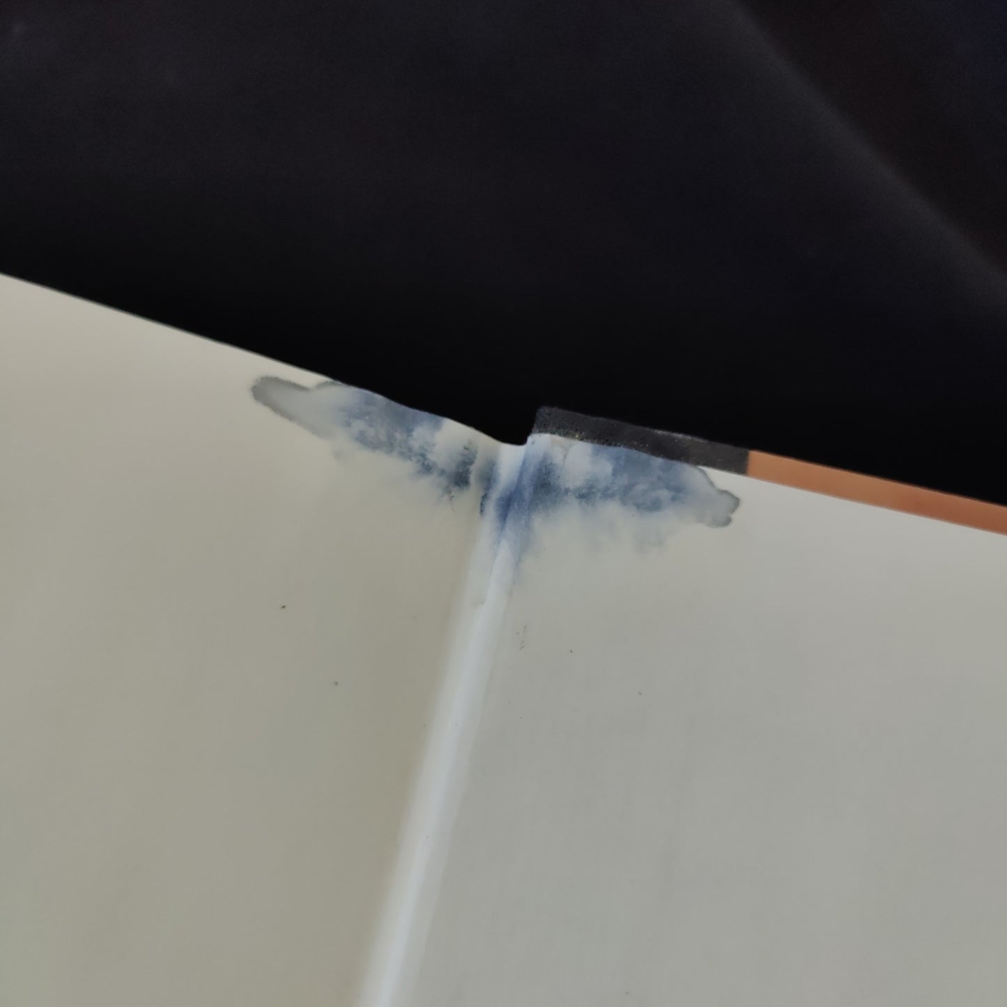 'The African Presence in Ancient America They Came Before Columbus' by Ivan Van Sertima