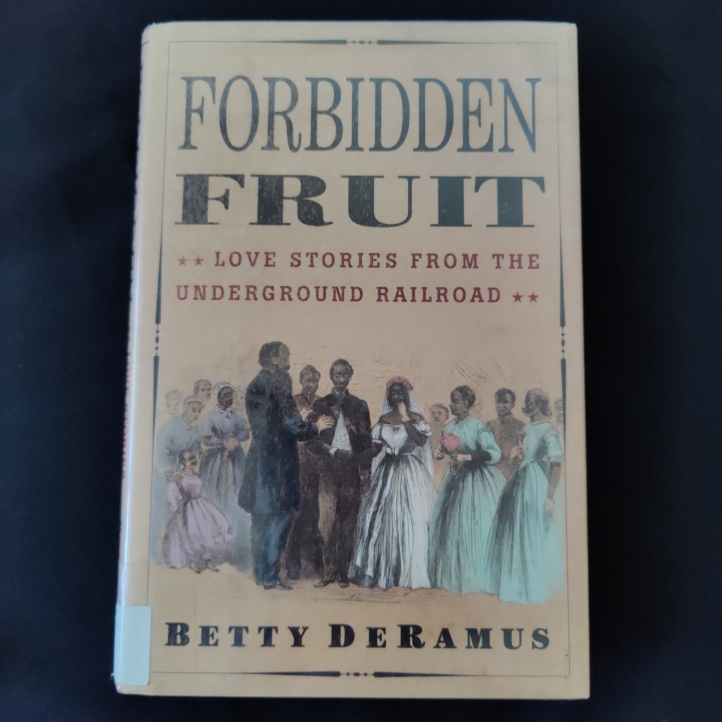 'Forbidden Fruit, Love Stories From the Underground Railroad' by Betty DeRamus