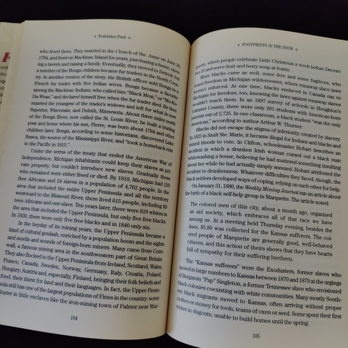 'Forbidden Fruit, Love Stories From the Underground Railroad' by Betty DeRamus