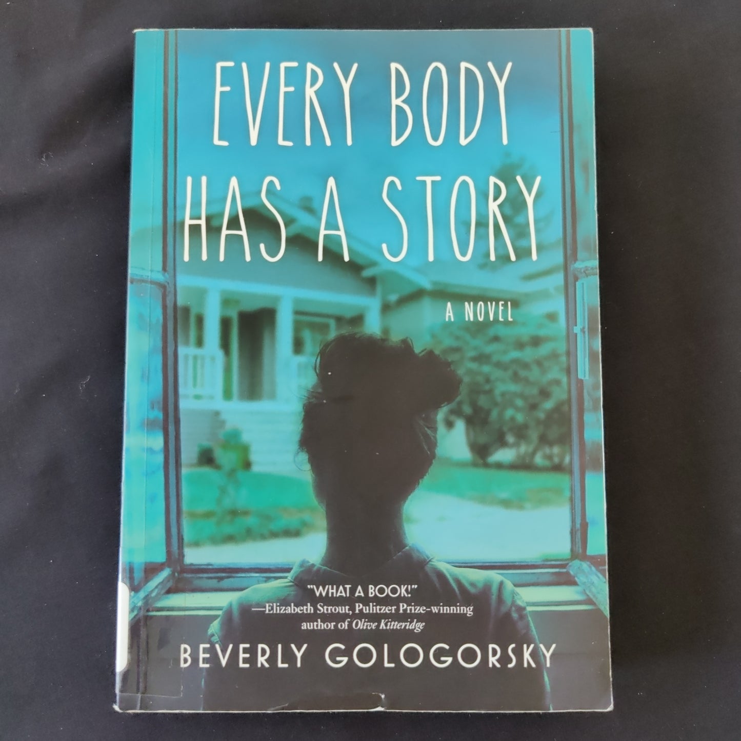 'Every Body Has A Story' by Beverly Gologorsky