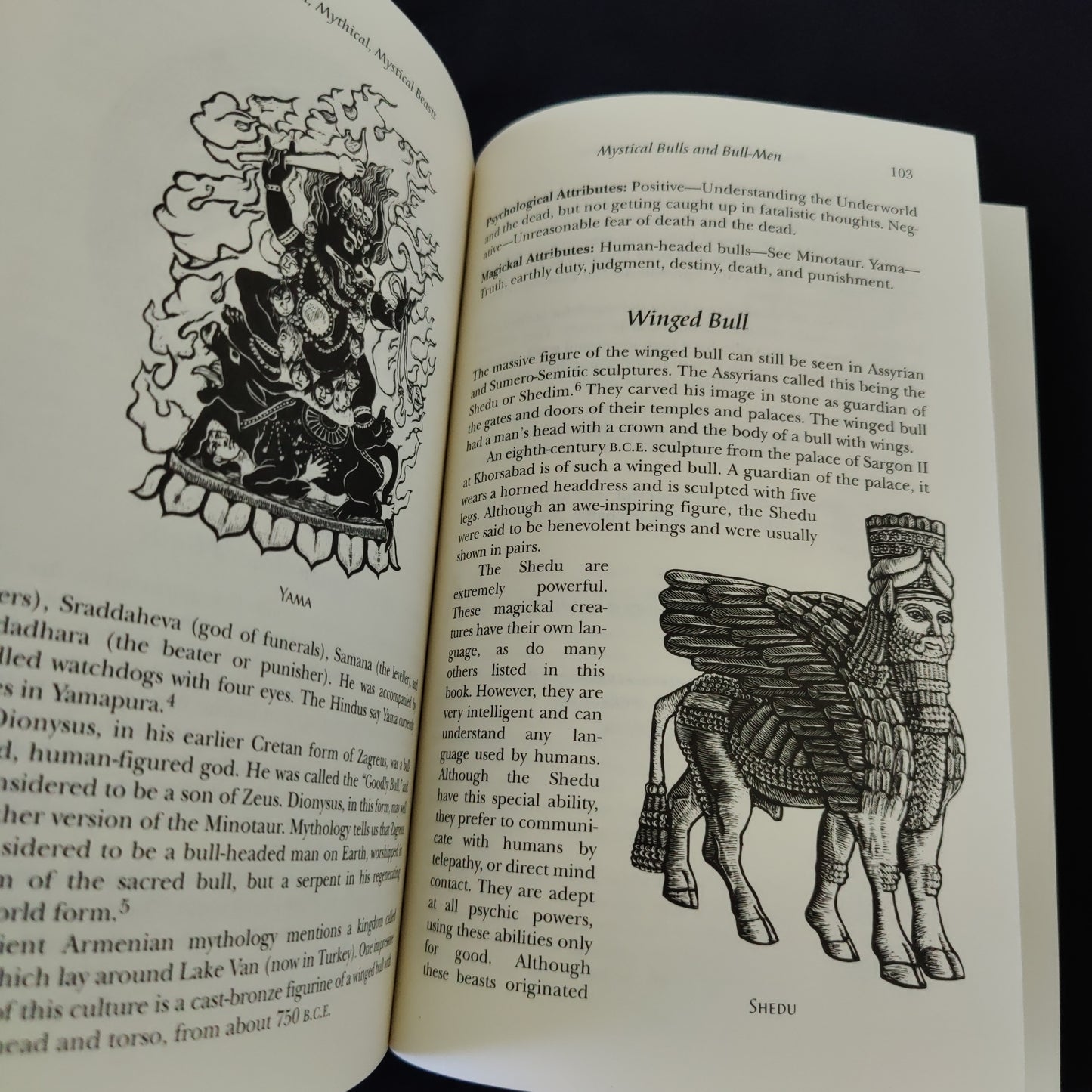 'Magickal Mystical Creature, Invite Their Powers into Your Life' by D.J. Conway