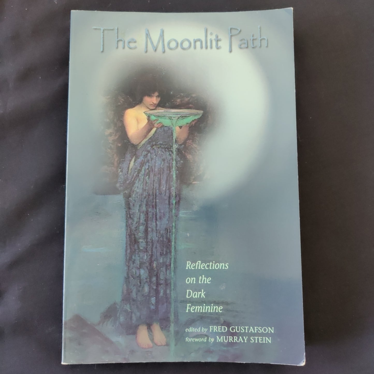 'The Moonlit Path Reflections on the Dark Feminine' by Fred Gustafson