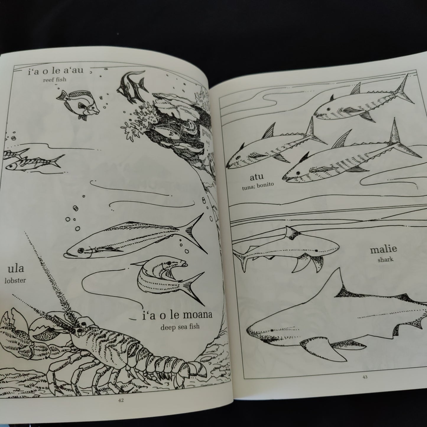 'Samoan Word Book' by Aumua Mataitusi Simanu and Luafata Simanu-Klutz