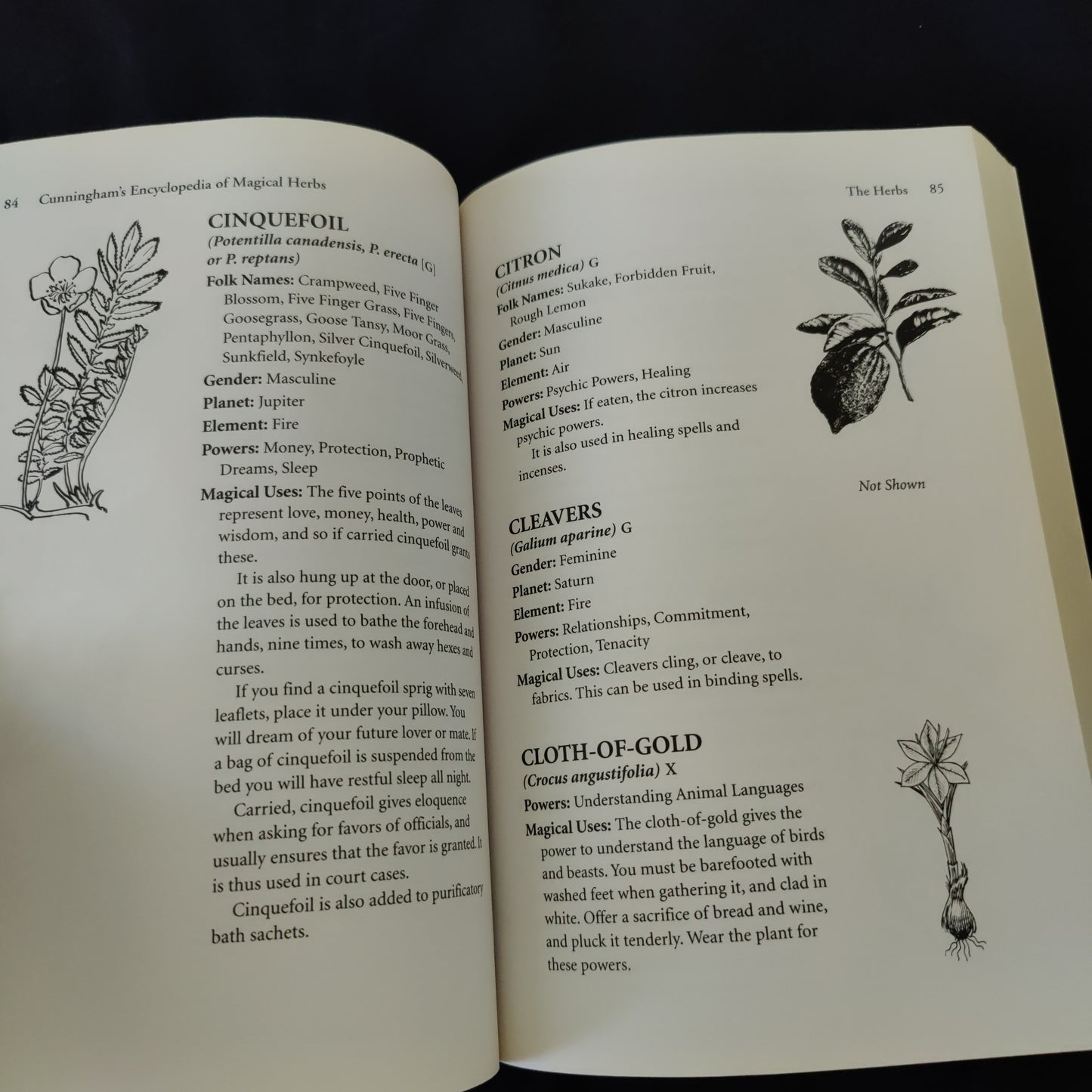 'Cunningham's Encyclopedia of Magical Herbs' by Scott Cunningham