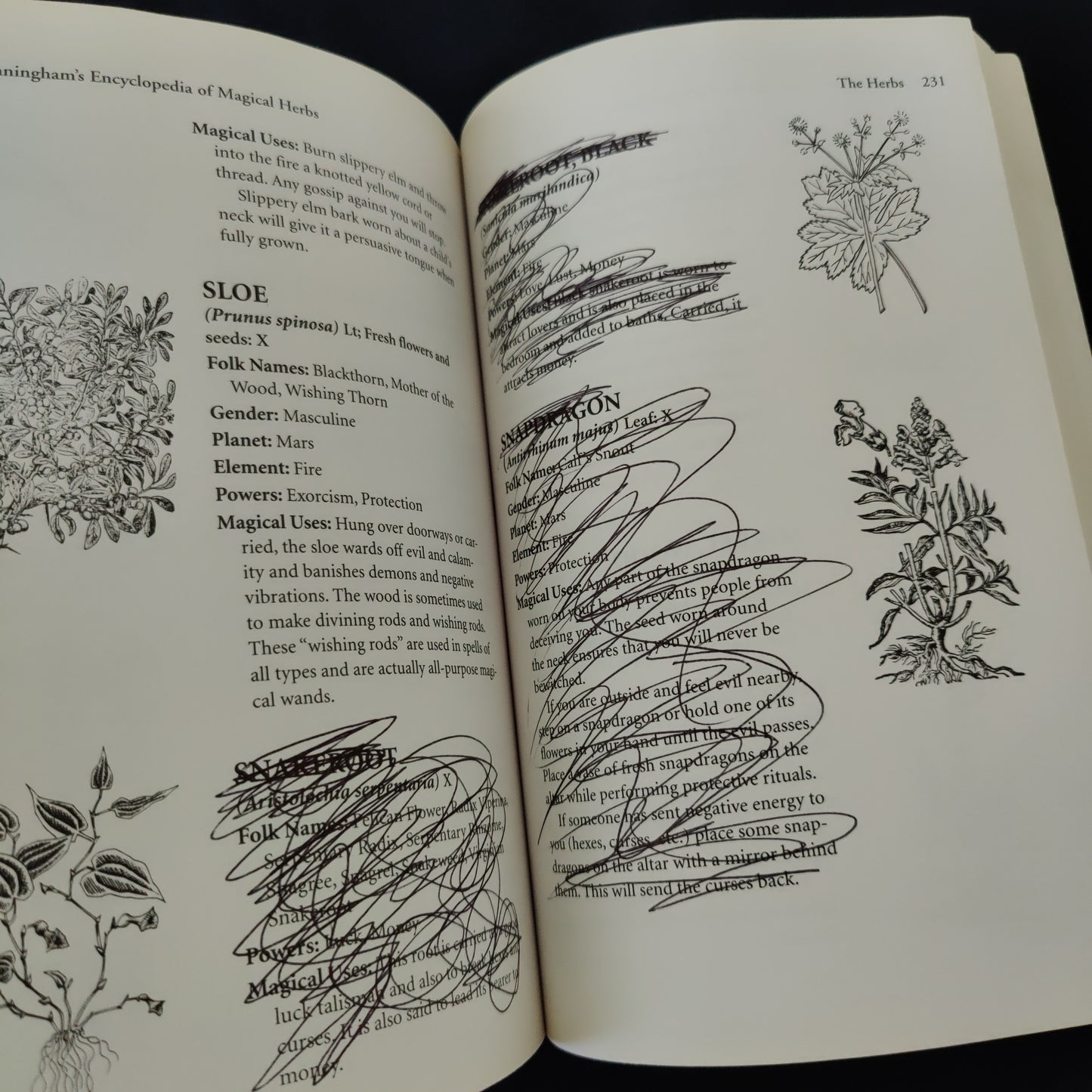 'Cunningham's Encyclopedia of Magical Herbs' by Scott Cunningham