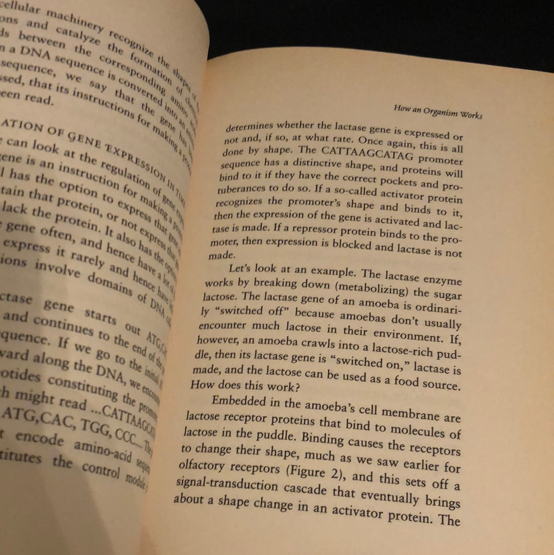 ‘The Sacred Depths of Nature’ by Ursula Goodenough