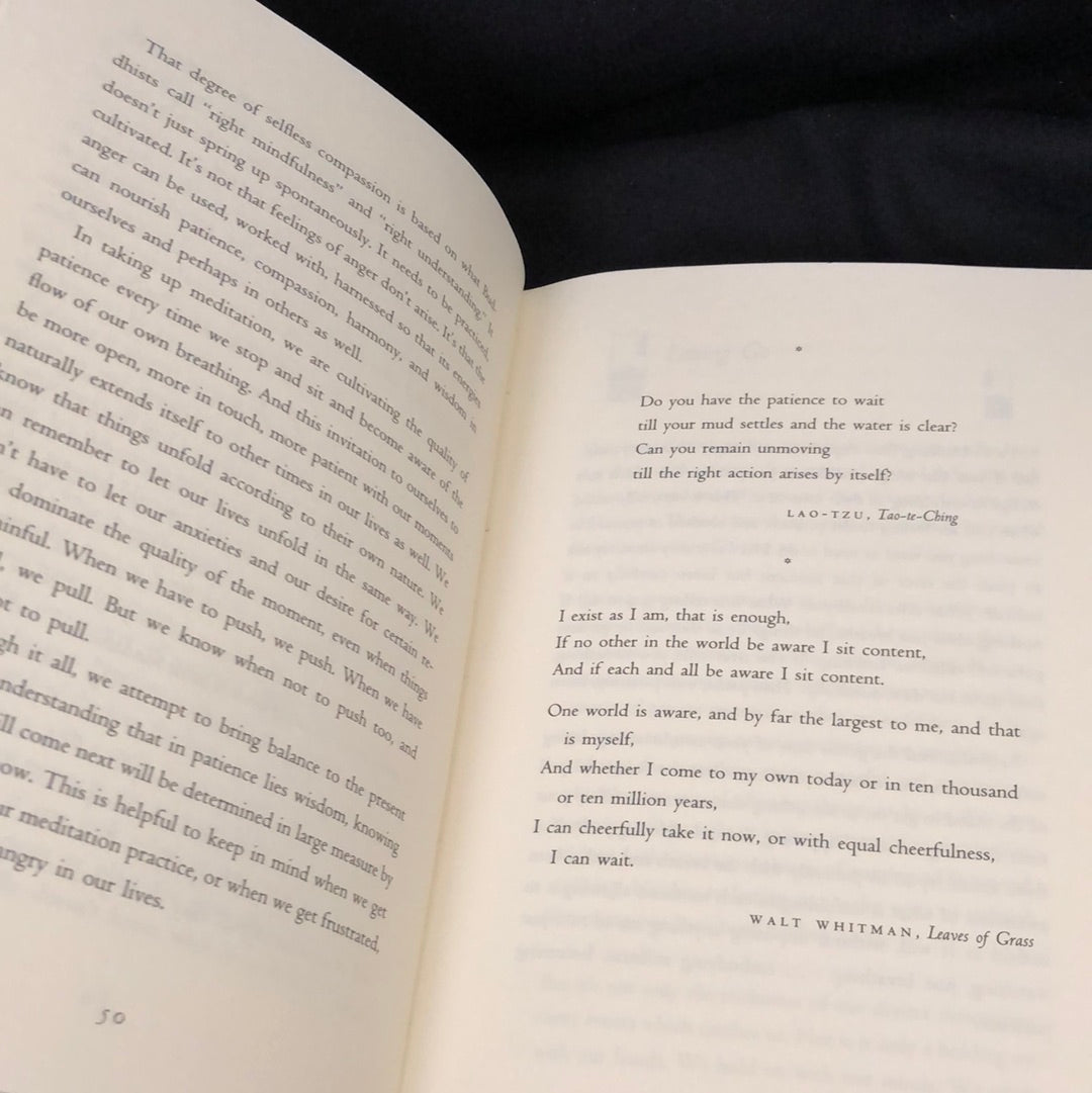 ‘Wherever You Go There You Are’ by Jon Kabat-Zinn