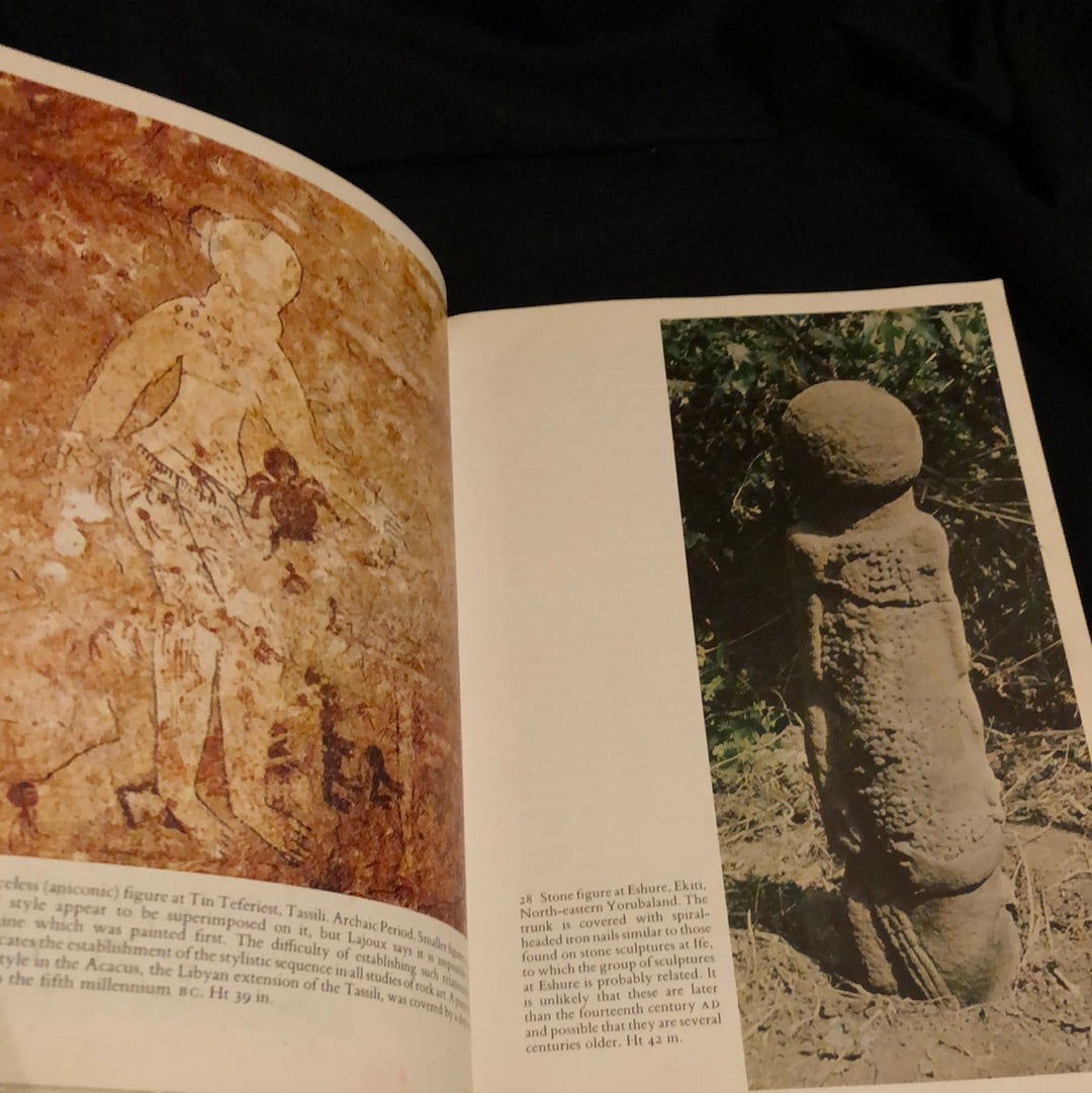 ‘African Art’ by Frank Willett