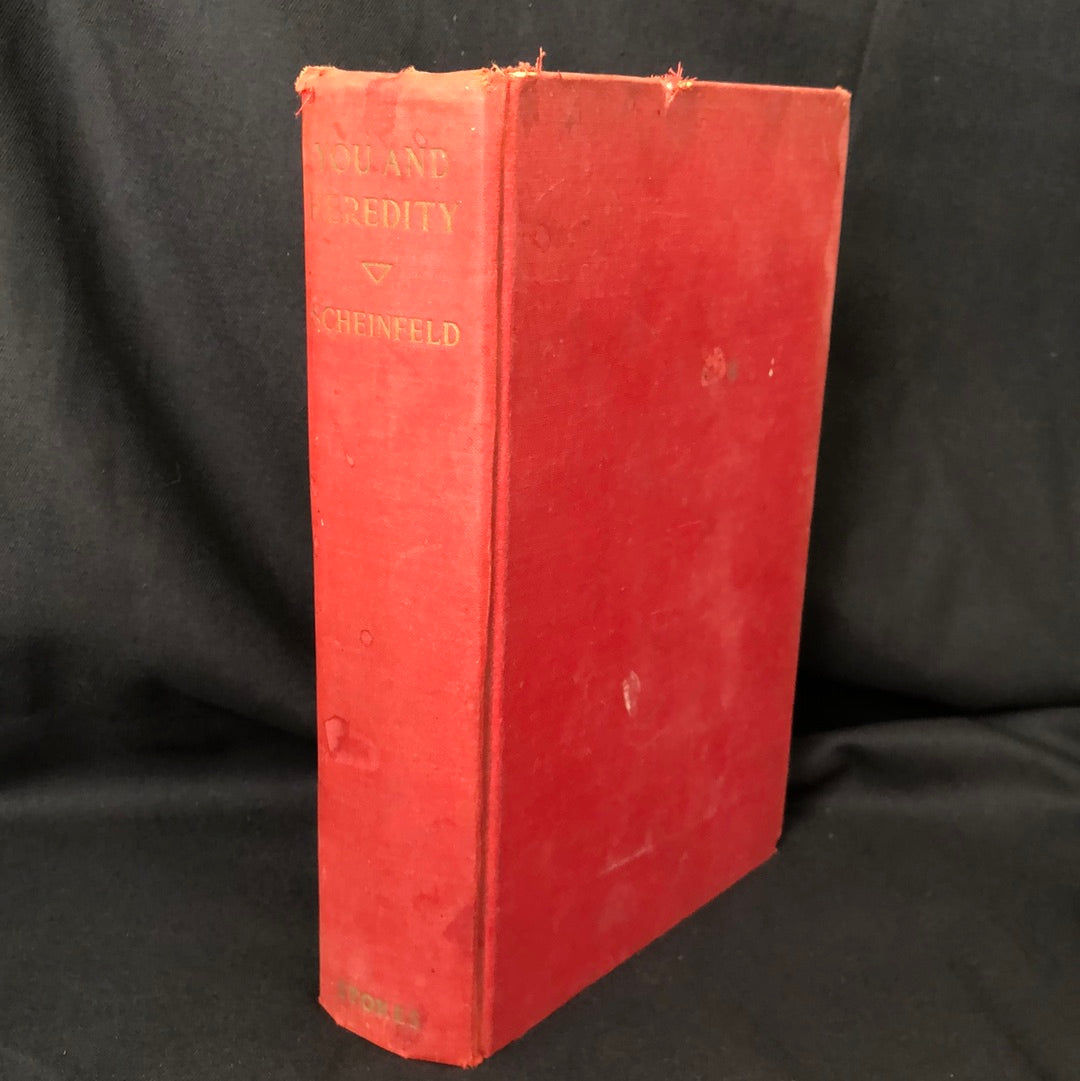 ‘You And Hereditary’ by Amram Scheinfeld