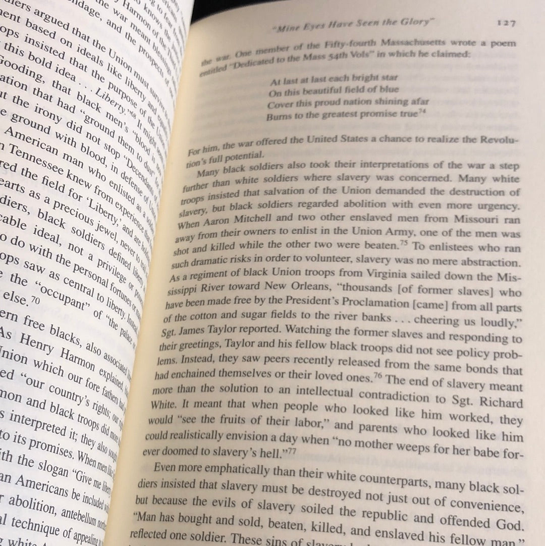 ‘What This Cruel War Was Over’ by Chandra Manning