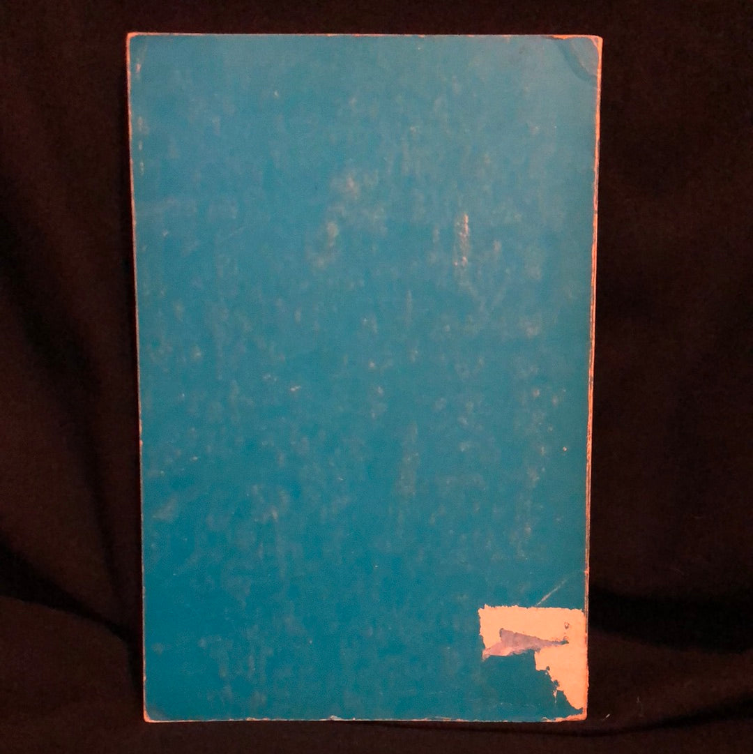 ‘Exploring Phenomenology’ by David Stewart