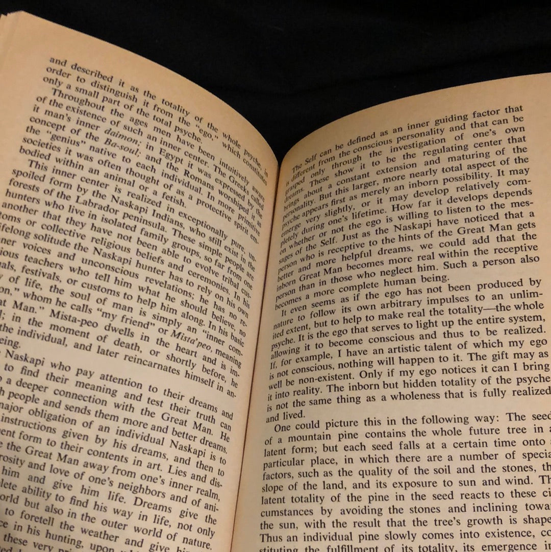 ‘Man and His Symbols’ by Carl C. Jung