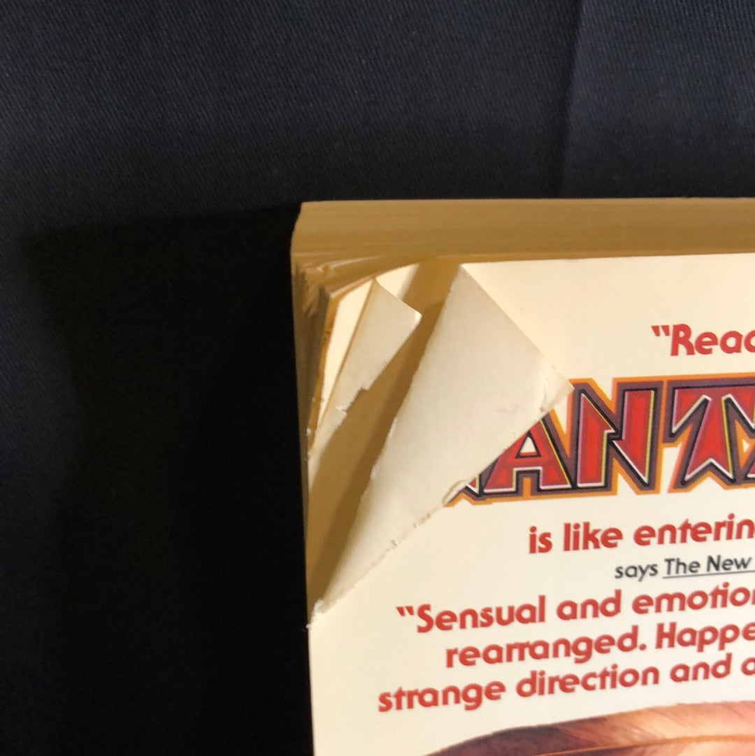 ‘Hanta Yo’ by Ruth Beebe Hill