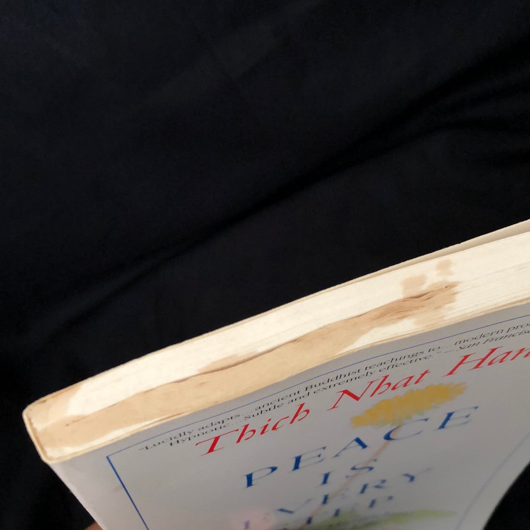 ‘Peace is Every Step, the Path of Mindfulness in Everyday Life’ by Thich Nhat Hanh