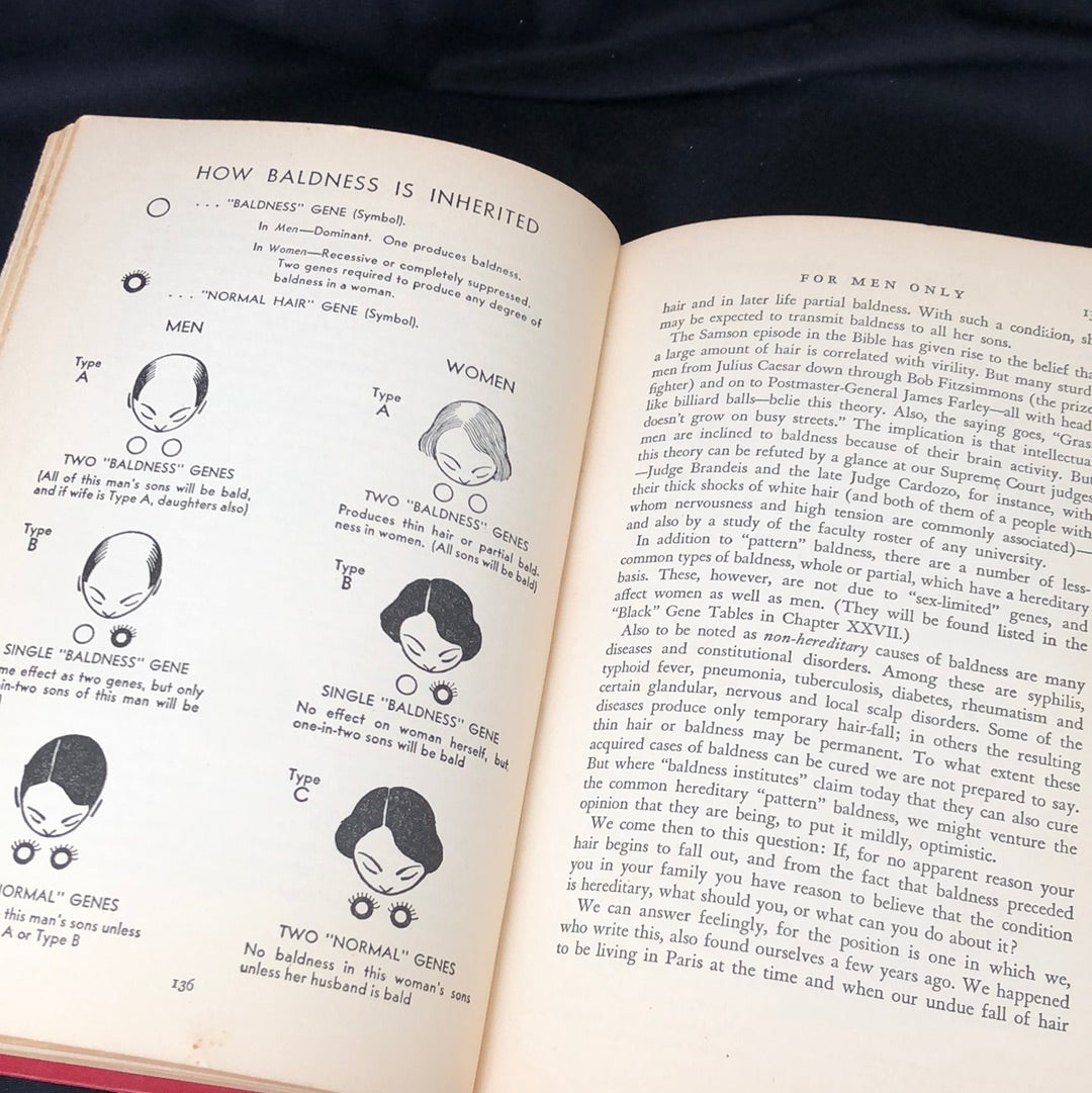 ‘You And Hereditary’ by Amram Scheinfeld