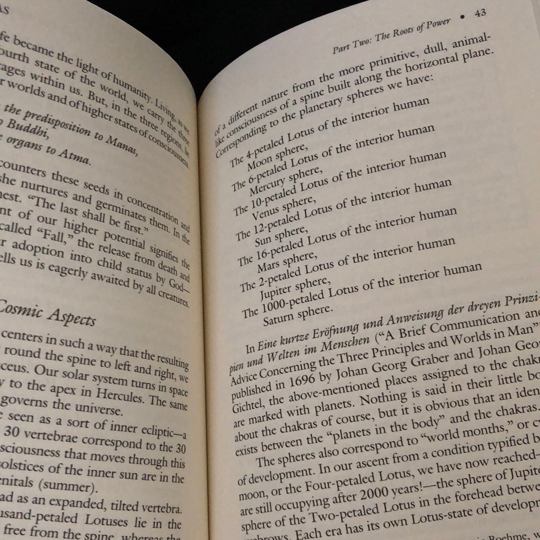 ‘Chakras of Power’ by Werner Bohm