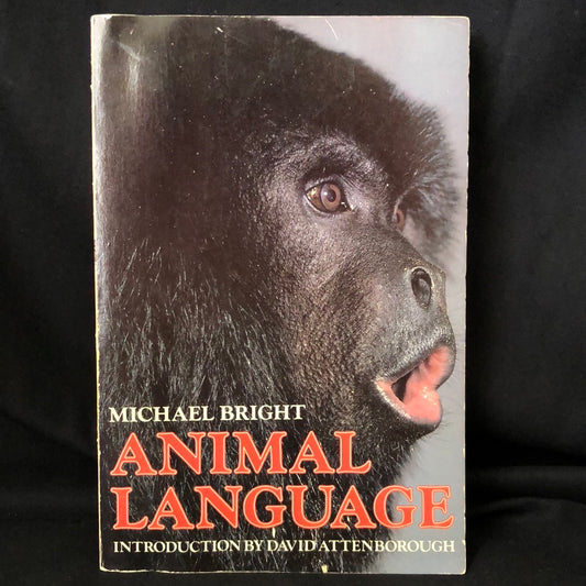 ‘Animal Language’ by Michael Bright