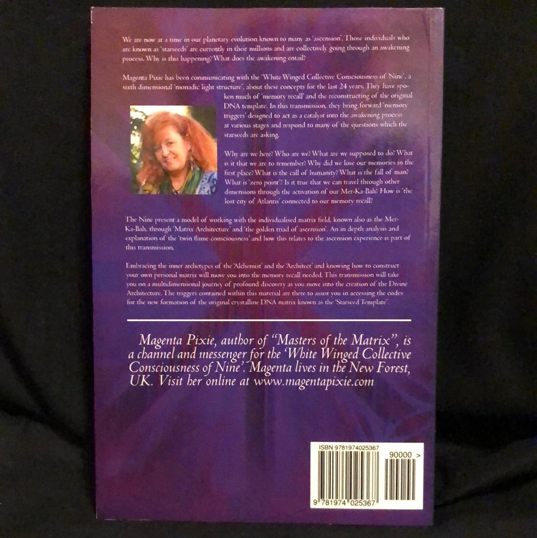 ‘Divine Architecture and the Starseed Template’ by Magenta Pixie