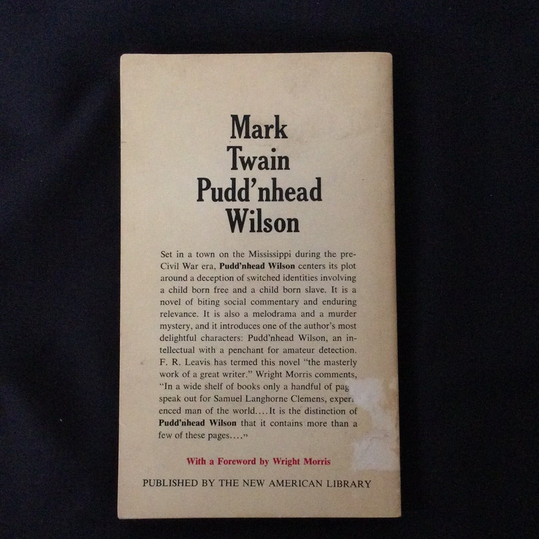 ‘Pudd’nhead Wilson’ by Mark Twain