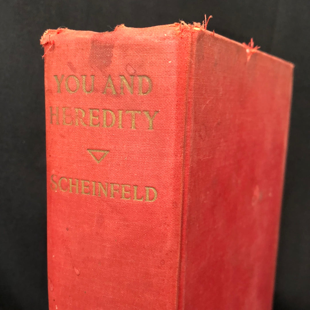 ‘You And Hereditary’ by Amram Scheinfeld