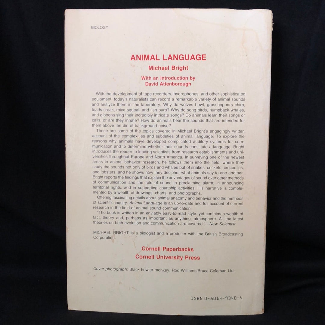 ‘Animal Language’ by Michael Bright
