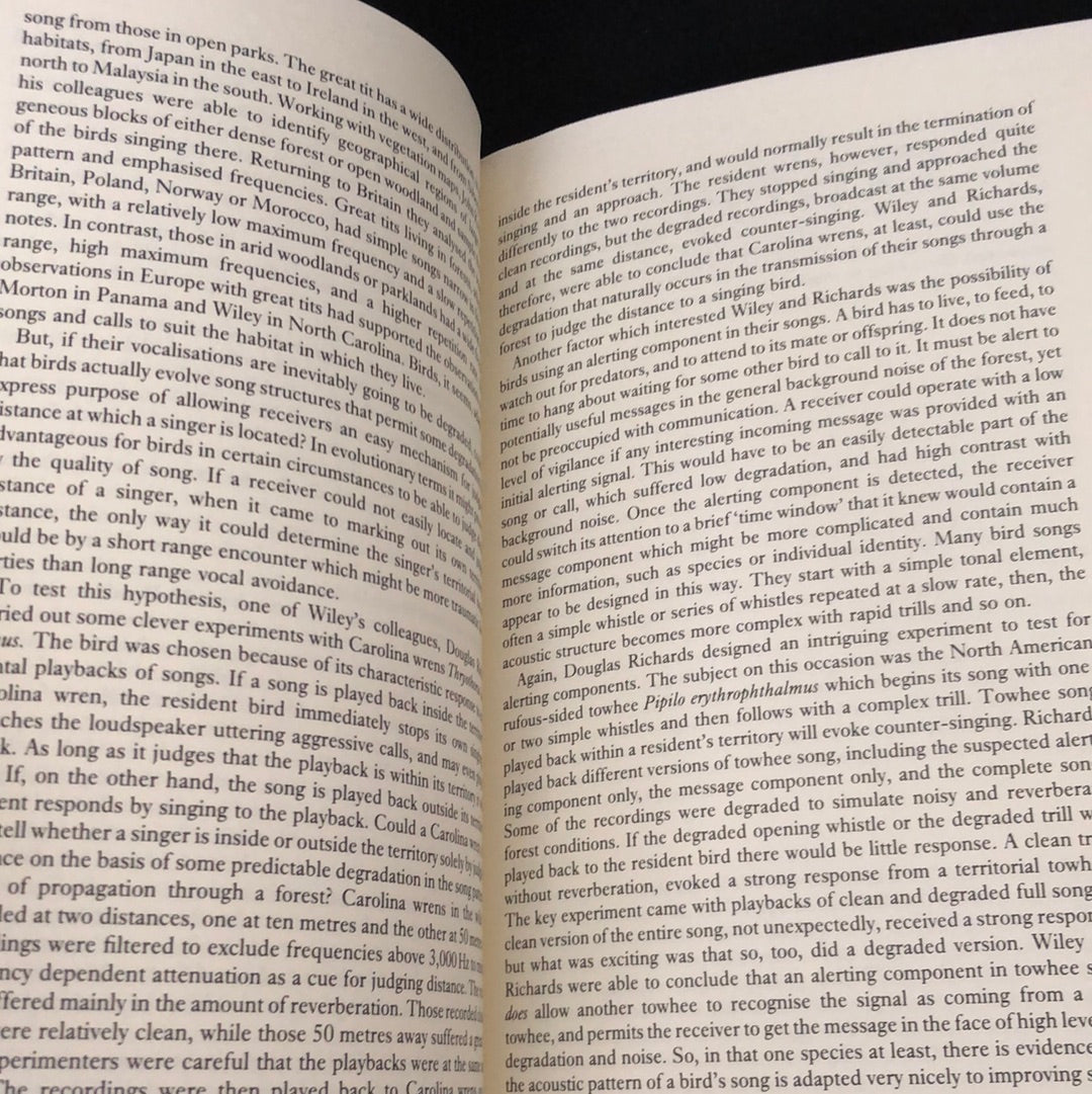 ‘Animal Language’ by Michael Bright