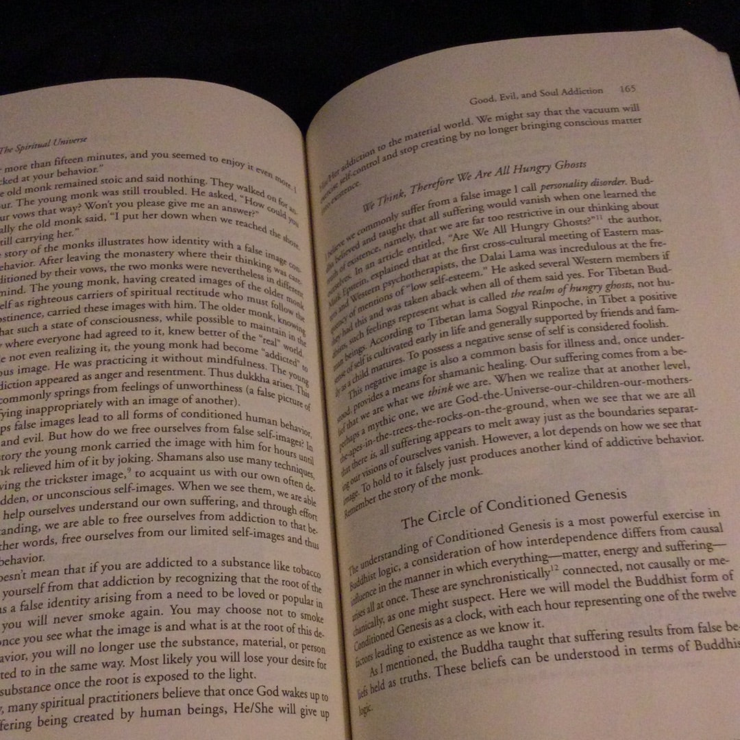 ‘The Spiritual Universe’ by Fred Alan Wolf