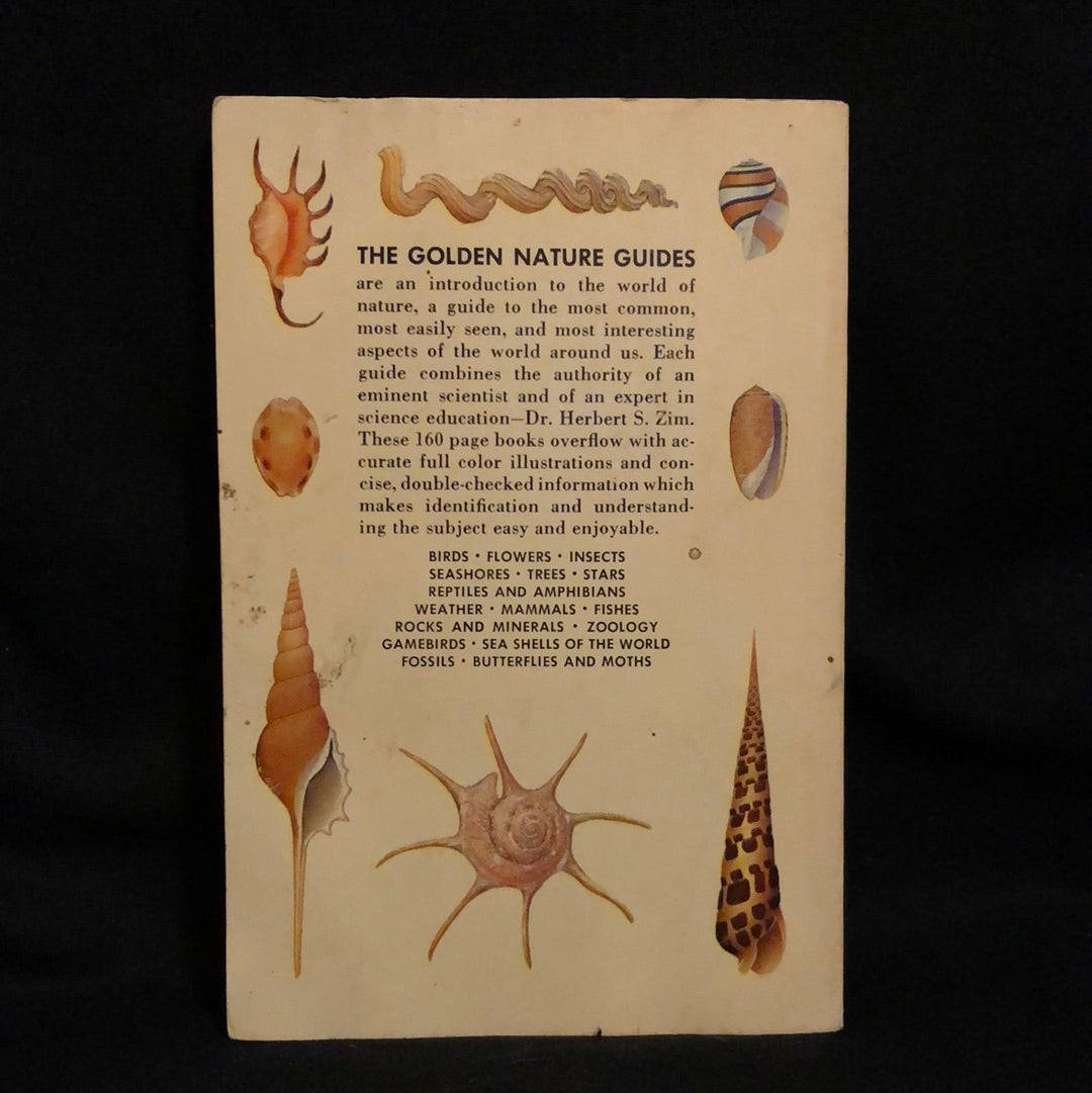 ‘Sea Shells of the World’ A Golden Nature Guide