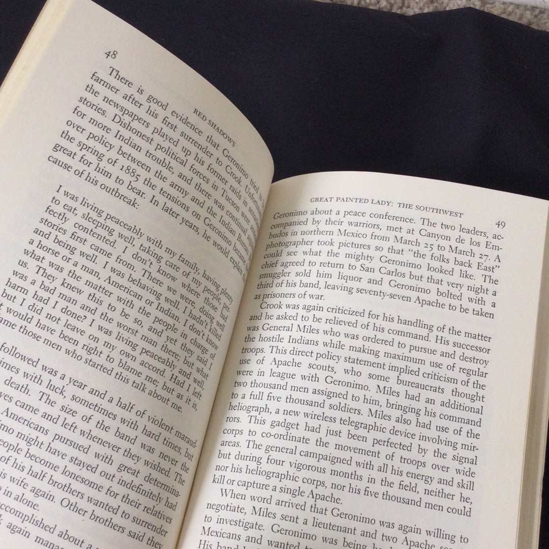 'Red Shadows' by Dan Georgakas