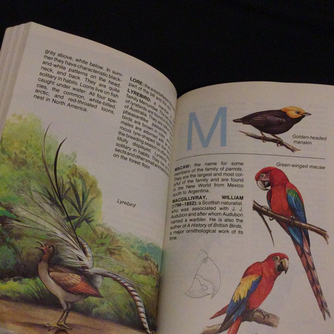 ‘The Dell Encyclopedia of Birds’
