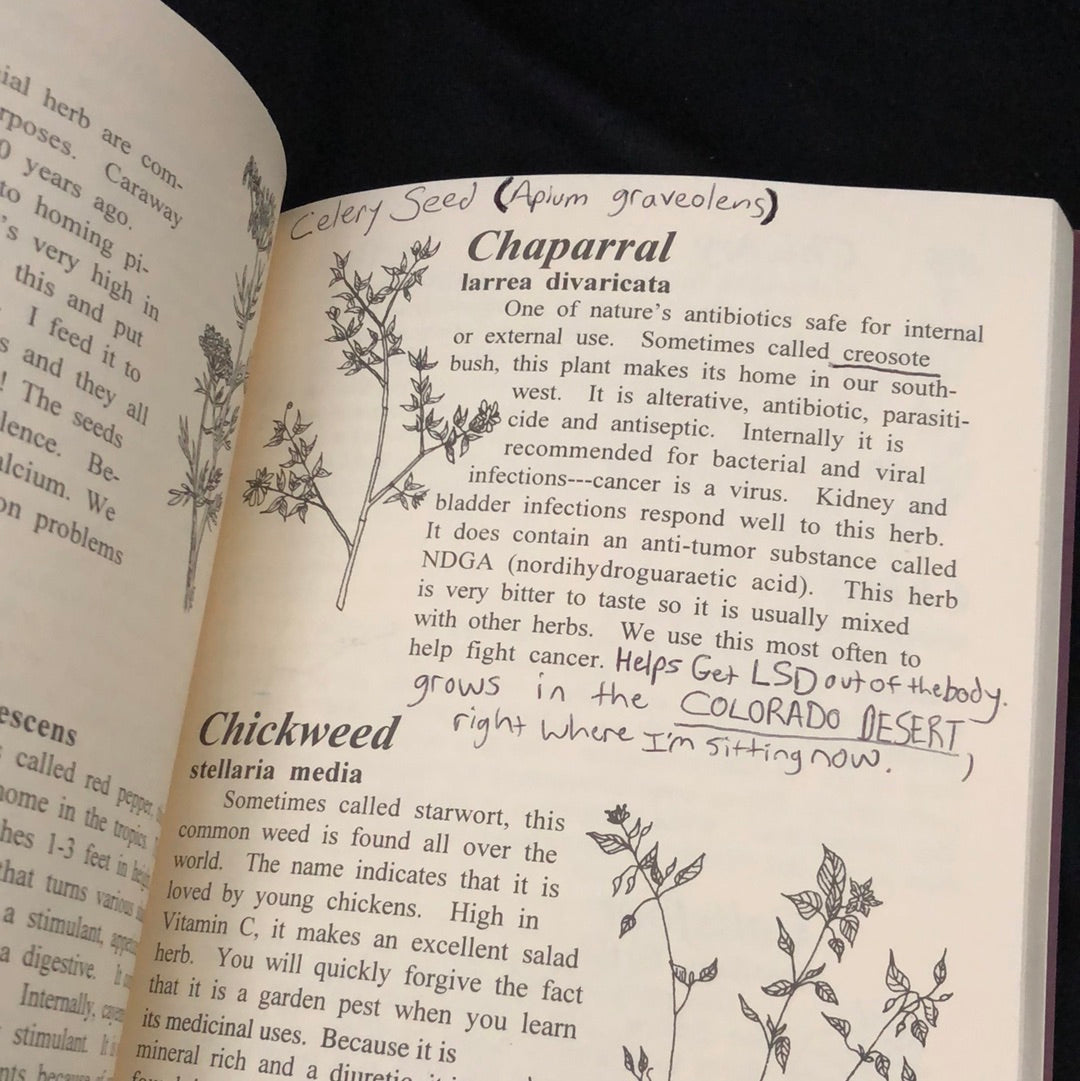 ‘Sweet Annie’s Healing Herbs’ by Ann Marie Wishard